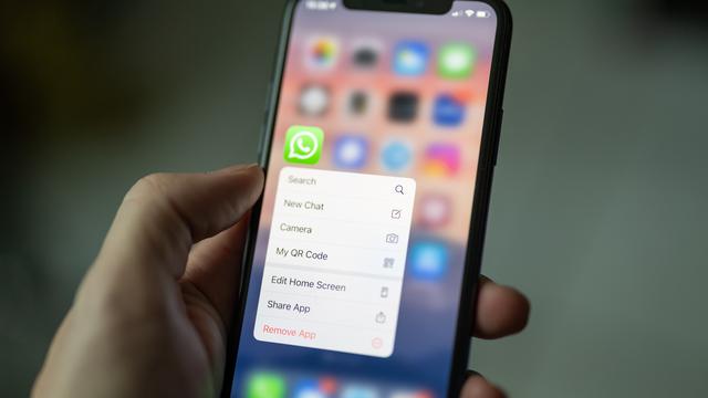 Pengguna WhatsApp